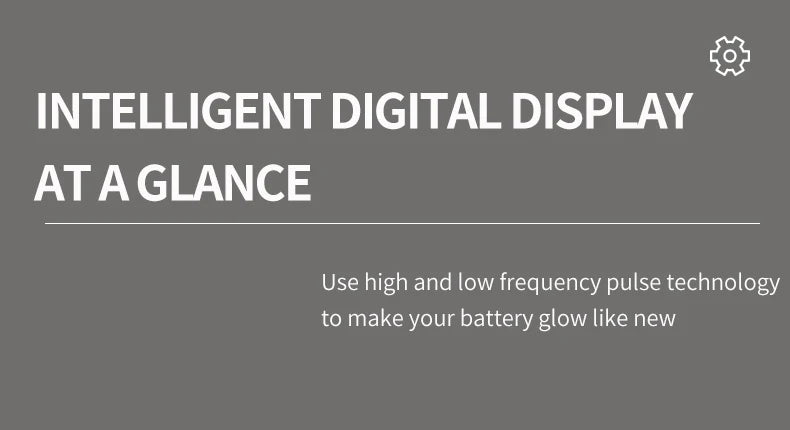 Smart Battery Charger